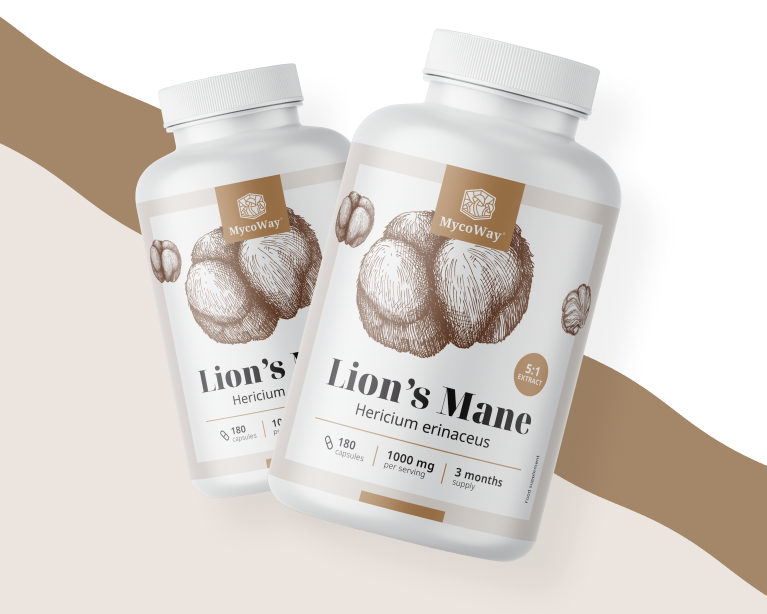 Fuerza y beneficios de la melena de león.		