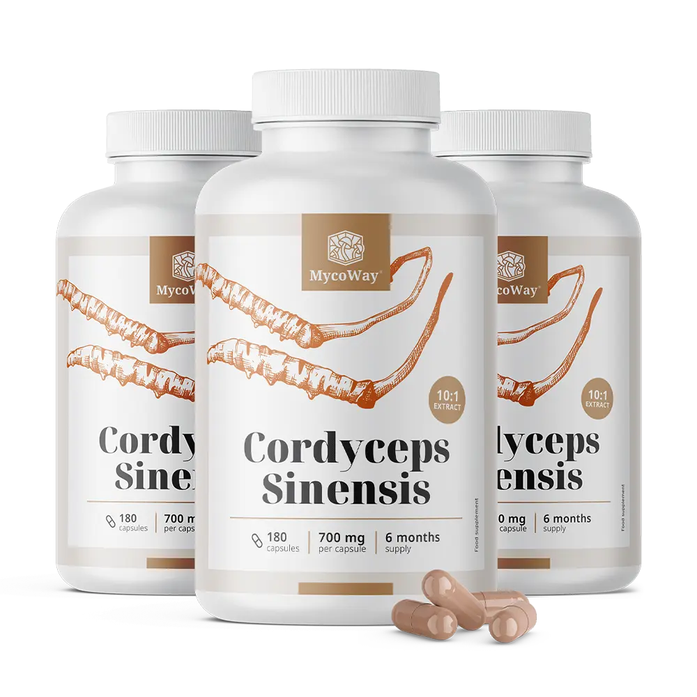Cordyceps sinensis 1400 mg - extracto 10:1
