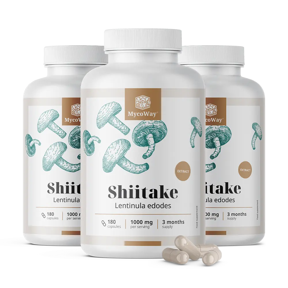 Shiitake 1000 mg - extract