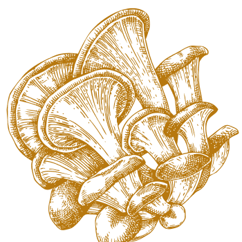 Único apoyo natural para fortalecer el cuerpo y la mente.