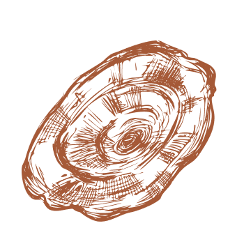 De un paso hacia la vitalidad y la fuerza