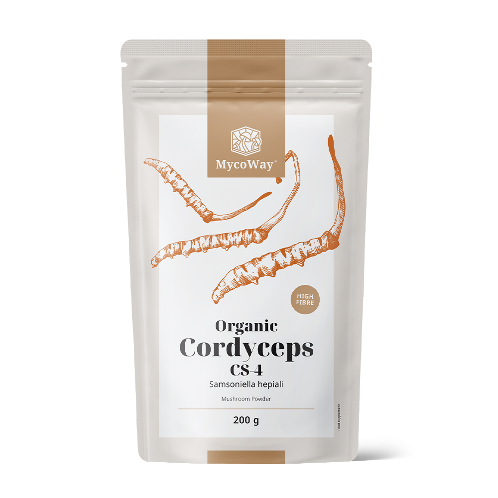 BIO Cordyceps sinensis en polvo.