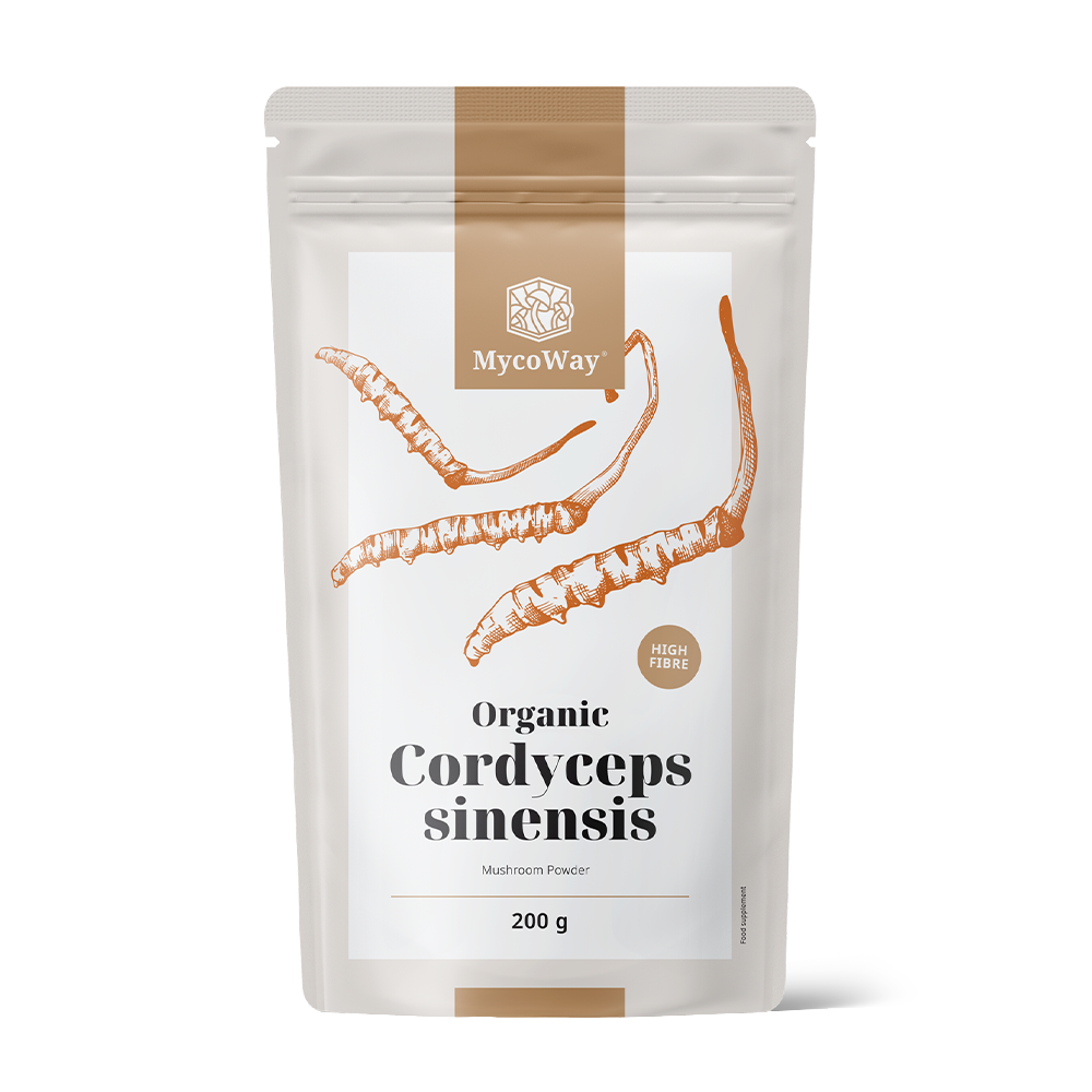 BIO Cordyceps sinensis en polvo.