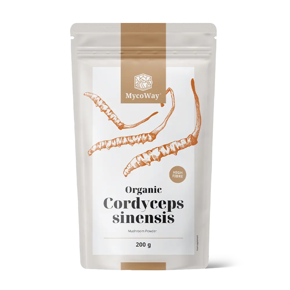 BIO Cordyceps sinensis en polvo.