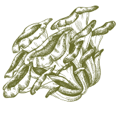 Cuida tu cuerpo con los regalos que ofrece la naturaleza.