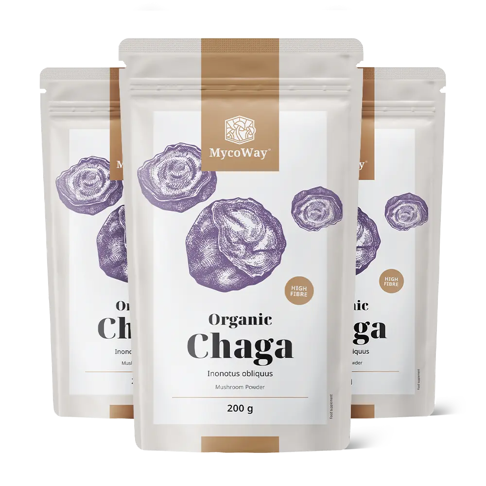 BIO Chaga en polvo