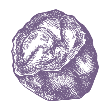 El secreto de la naturaleza para una vida equilibrada