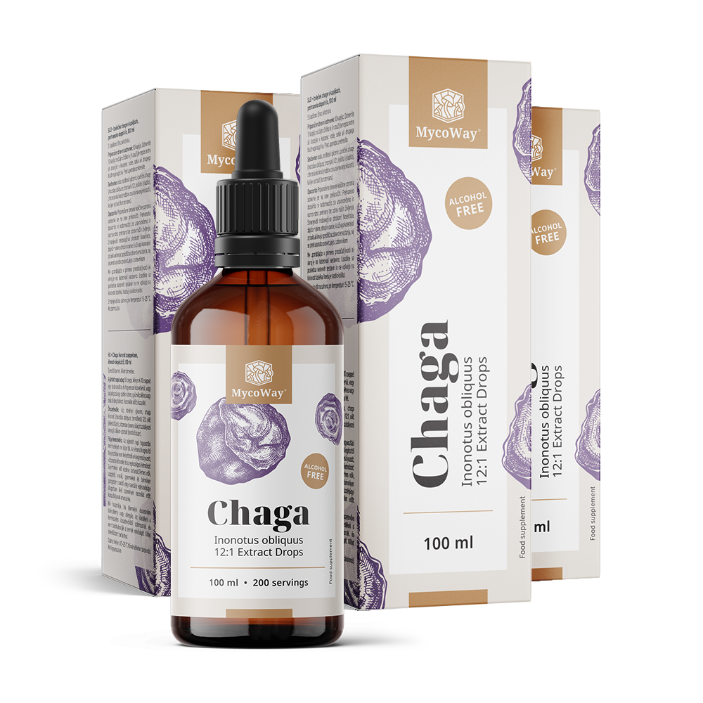 Chaga – extracto en gotas